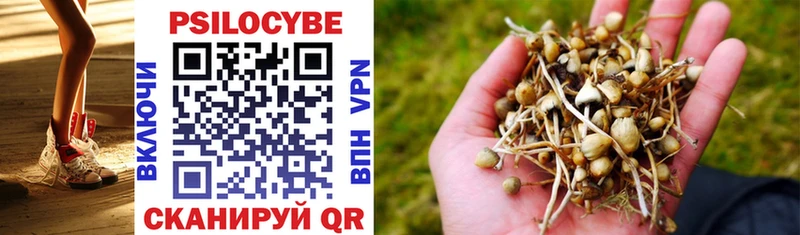 Галлюциногенные грибы Psilocybe  Купить где  Чулым 